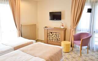 Отель Hotel Capitolina City Chic Клуж-Напока Стандартный двухместный номер с 2 отдельными кроватями-1